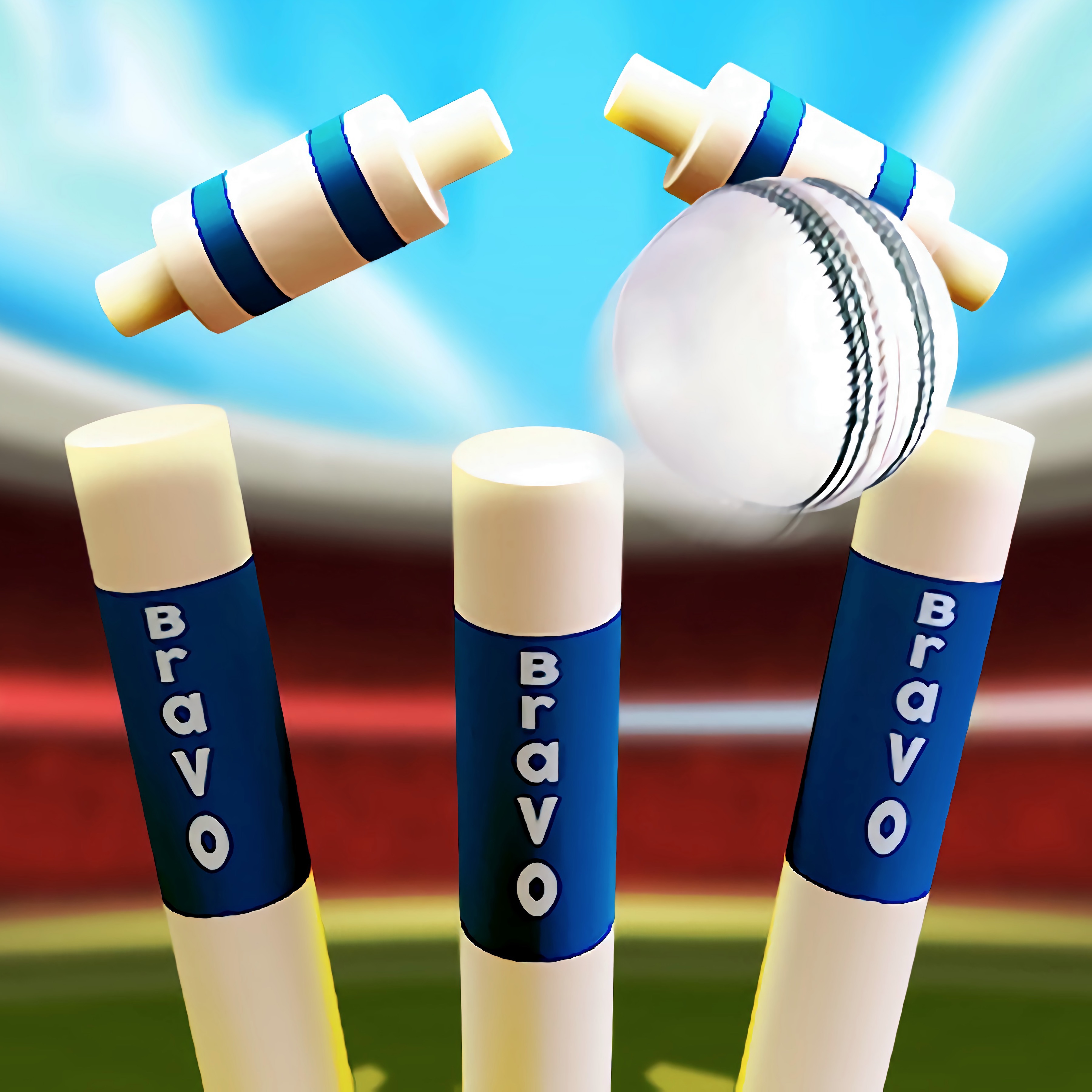 Cricket World Cup Game 2019 Mini Ground