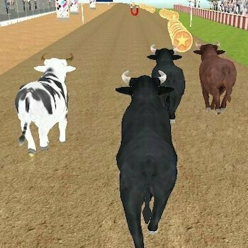 Bull Racing